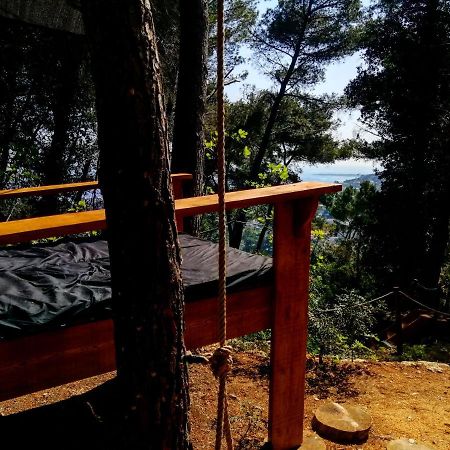 Cabane Azur Mountain فالوريس المظهر الخارجي الصورة