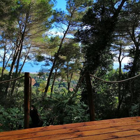 Cabane Azur Mountain فالوريس المظهر الخارجي الصورة
