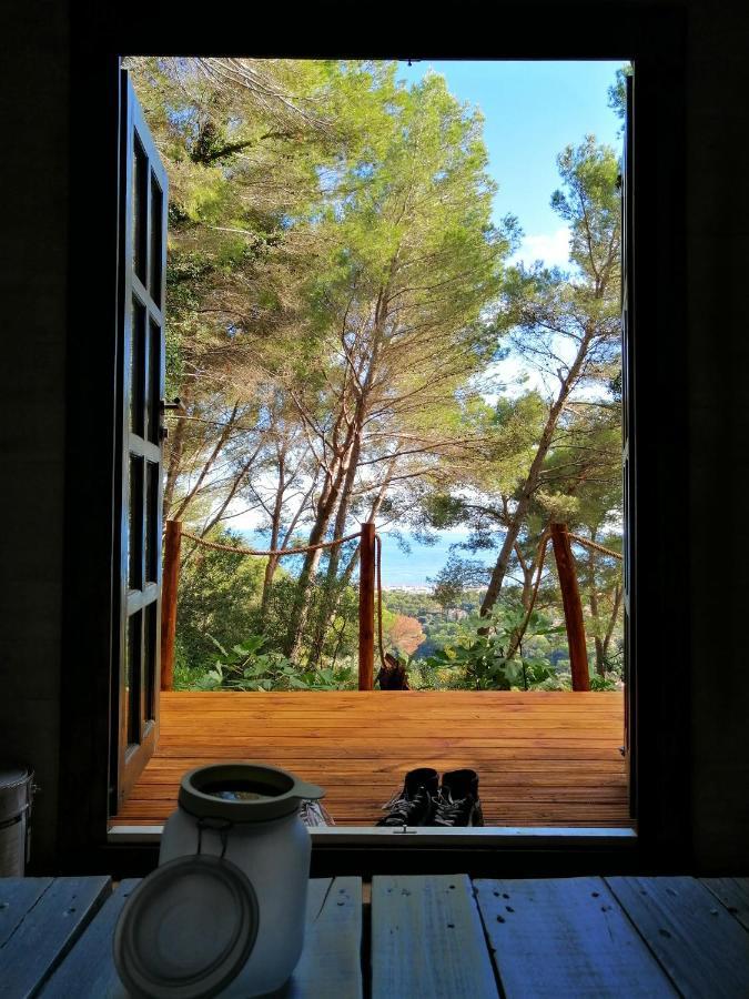 Cabane Azur Mountain فالوريس المظهر الخارجي الصورة
