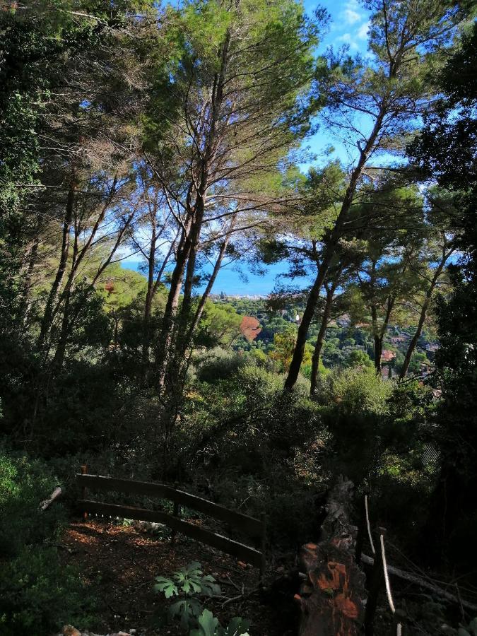 Cabane Azur Mountain فالوريس المظهر الخارجي الصورة